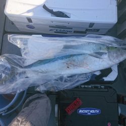 チャーター釣行