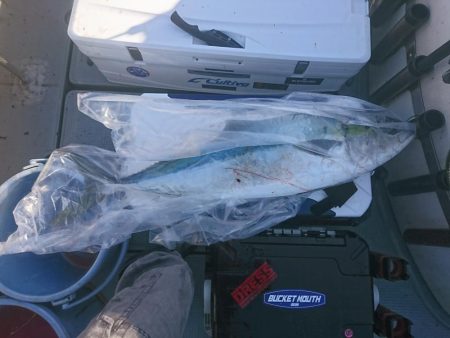 チャーター釣行