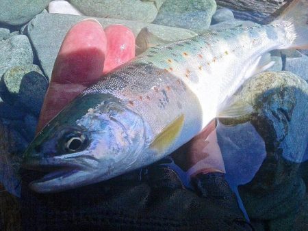 場所替えで何とか