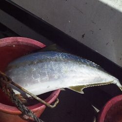 こういう日もあるよね