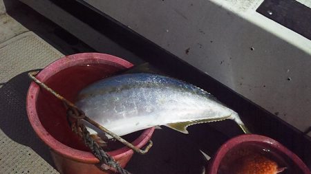 こういう日もあるよね