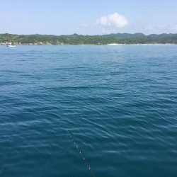 串本  カセ釣果