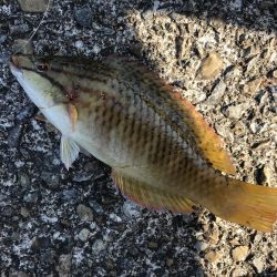 とほほなキス2nd