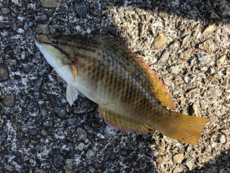 とほほなキス2nd