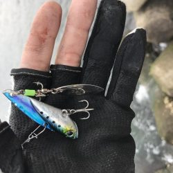 まだまだ子供。年末に期待したい。