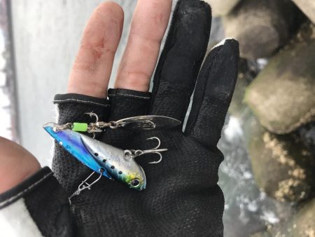 まだまだ子供。年末に期待したい。