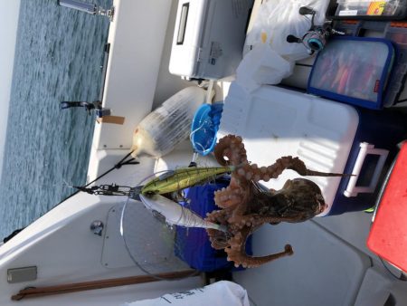 オクトパッシング