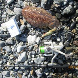 やる気スイッチ、俺のはどこにあるんだろう…