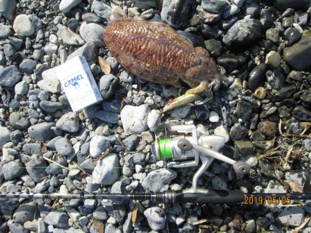 やる気スイッチ、俺のはどこにあるんだろう…