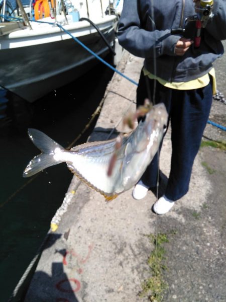 釣り姫ベイビー爆誕