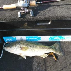 GW明けアシ打ち爆釣