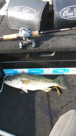 GW明けアシ打ち爆釣