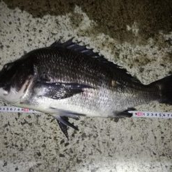 年無しサイトフィッシング