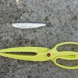 久しぶりの～‼️