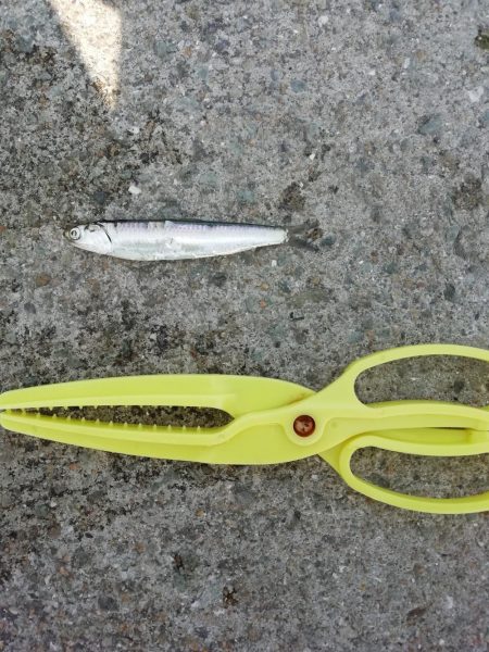 久しぶりの～‼️