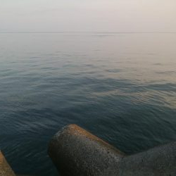 ソゲ1枚のみ・・・