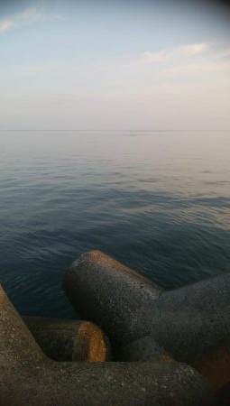 ソゲ1枚のみ・・・