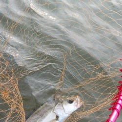 ひさびさの日本海