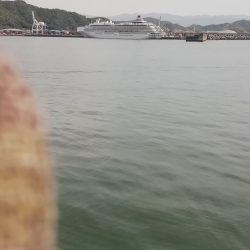 ライトショアジギング