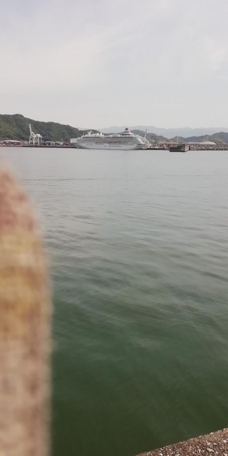 ライトショアジギング