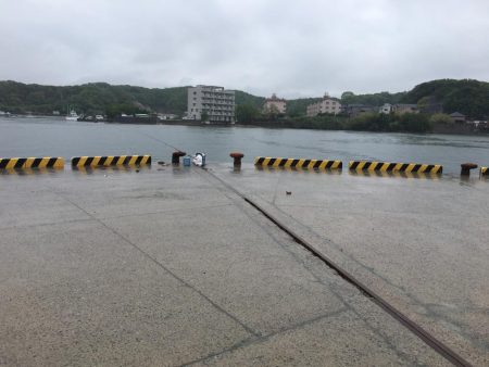 アジ8匹、コノシロ1匹