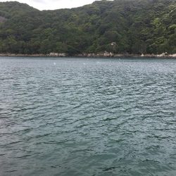 シマアジ小1匹、エソ1匹、コサバ13匹