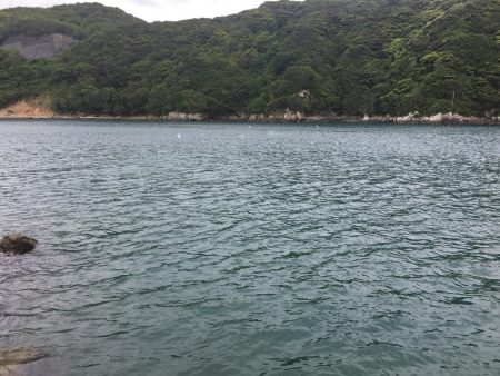 シマアジ小1匹、エソ1匹、コサバ13匹