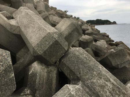 ガシラ8匹、ベラ7匹