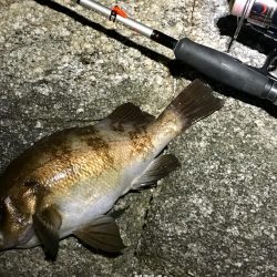 令和１発目の淡路島！