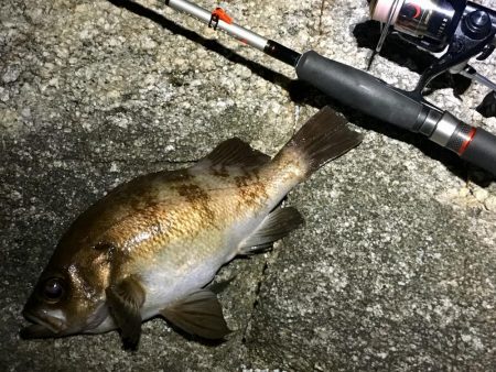 令和１発目の淡路島！