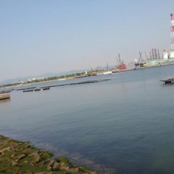 今年のキスはいい感じかも