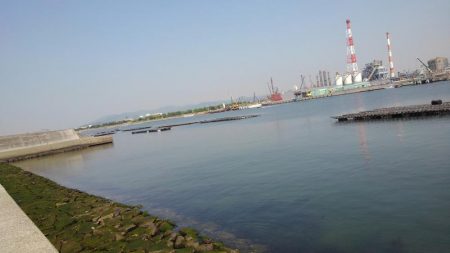 今年のキスはいい感じかも