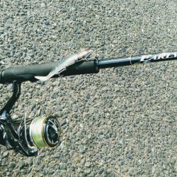 祭りやってなかった…