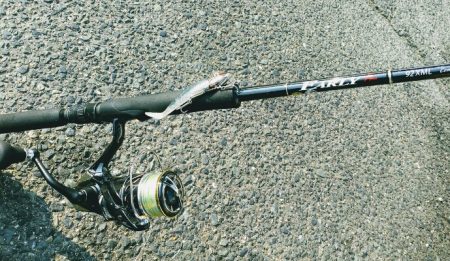 祭りやってなかった…