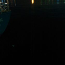 ナイトアジング