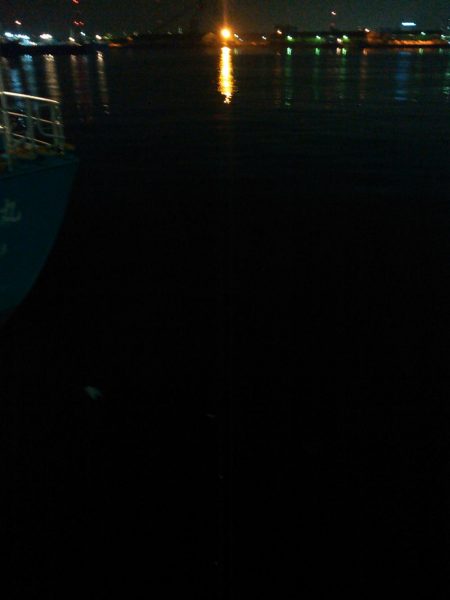 ナイトアジング