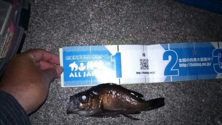 平成最後の釣り行って来ました。