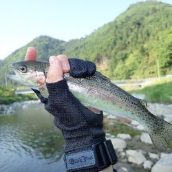 揖保川渓流釣り