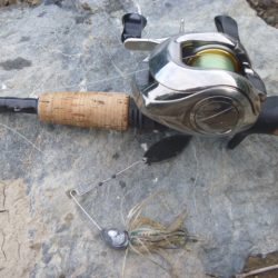 風の強い日でした