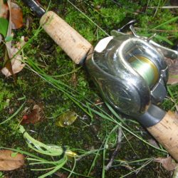 シェードの内側で