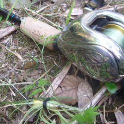 濁りの入ったエリアでヒット