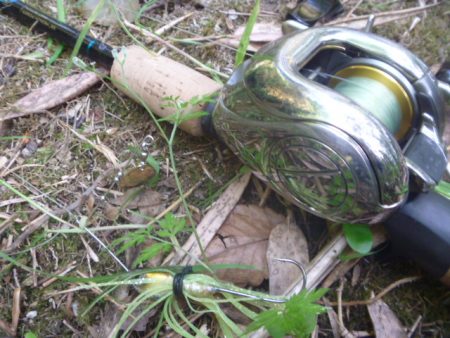 濁りの入ったエリアでヒット