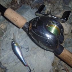 今日は渋かった