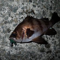 あと1時間あれば・・・