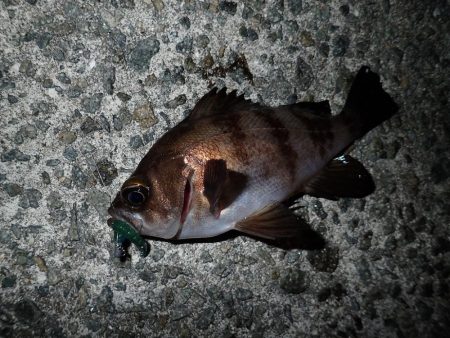 あと1時間あれば・・・