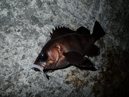 数を狙うか? それとも型か?