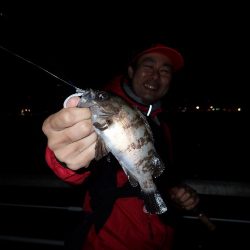 まとまった雨のあとは・・・