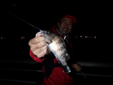 まとまった雨のあとは・・・