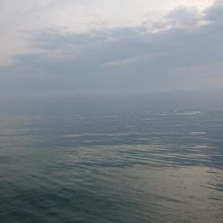 令和、ファースト キス！