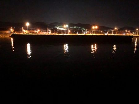 シラスミノーでフッコ